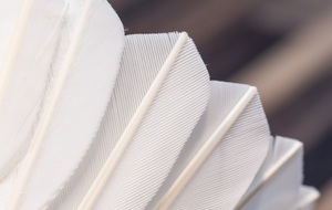 Réinscription saison 2016/2017