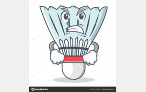 Tournoi du 11 et 12 mai 2019