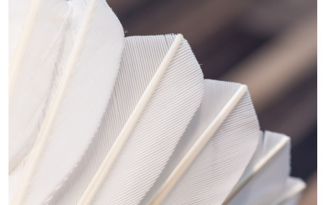 Réinscription saison 2016/2017