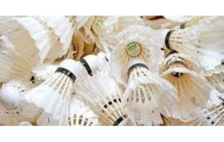 Entrainement compétiteur de jeudi 10 janvier